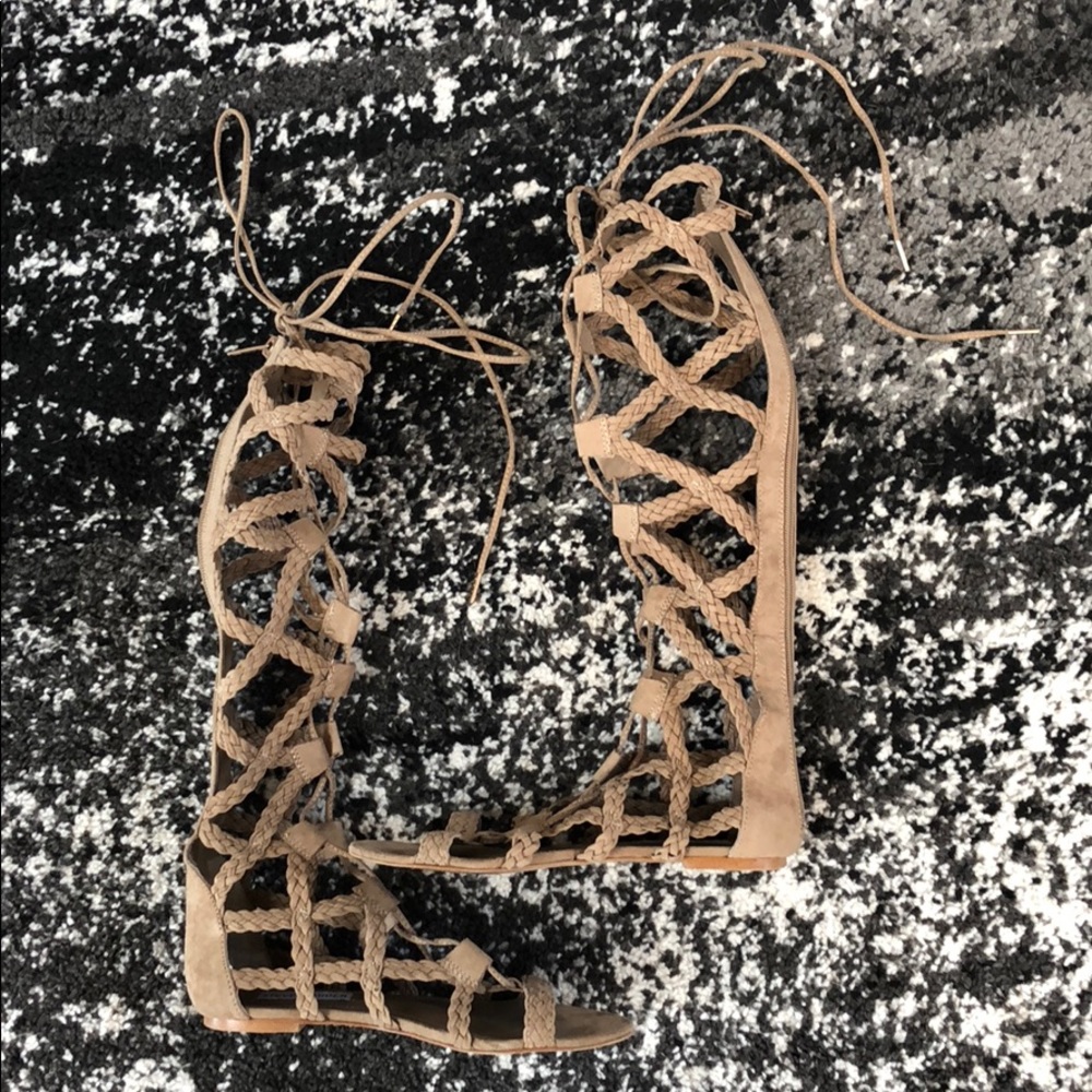 Steve Madden gladiator sandals